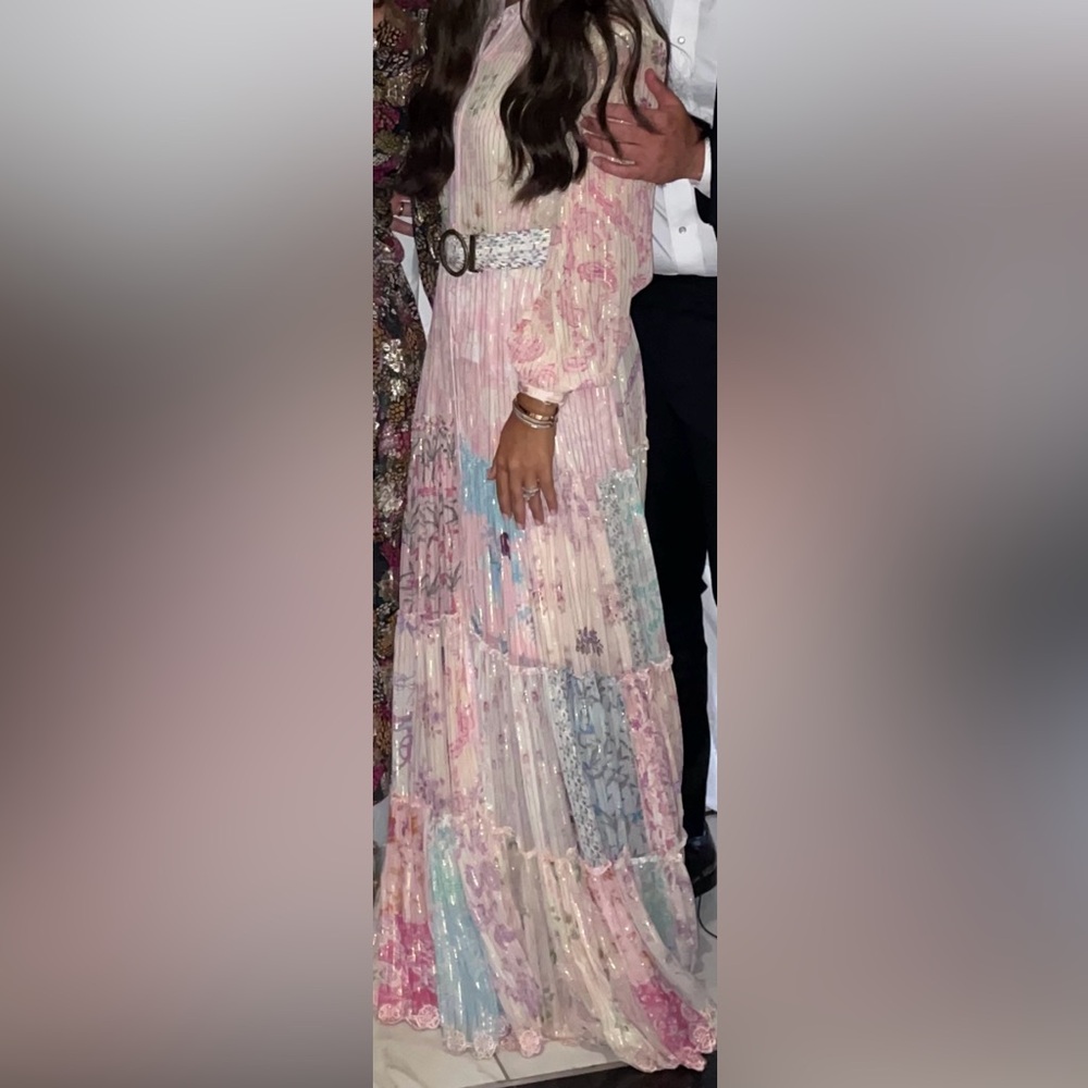 Gorgeous hemant and nadita gown
